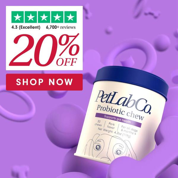 A 1:1 ratio product-focused ad featuring a 20% discount highlight, social proof badge, and a purple background for high brand recognition.